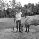 Bhagavana Sri Ramana Maharshi