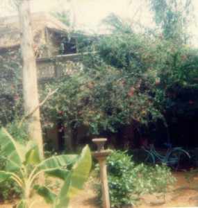 Osborne-Compound-1985