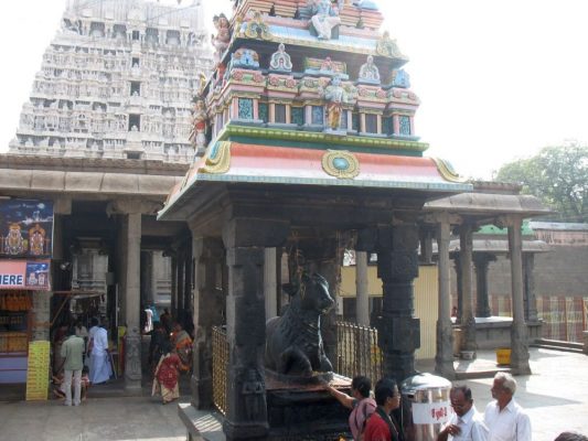A Nandi in the Arunachaleswara Temple built by King Vallalan. The relatives are in a line behind the pointing woman.