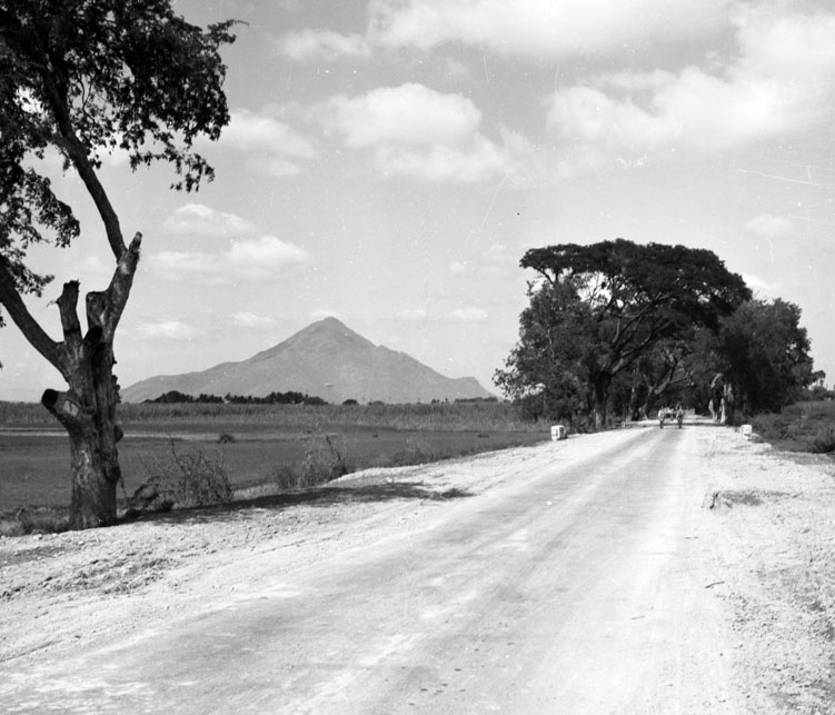 Approaching Arunachala in the 1960s, about 15 km from Tiruvannamalai on the Tindivanam road.