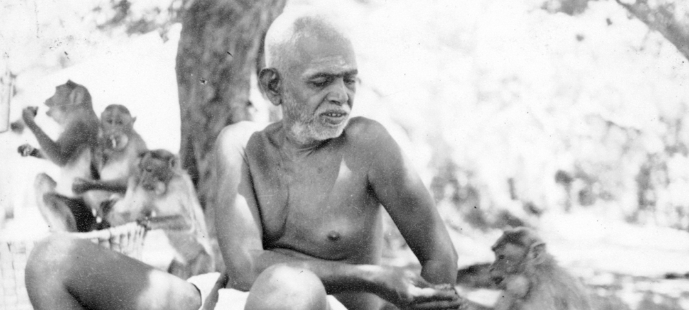 Bhagavan feeding a monkey