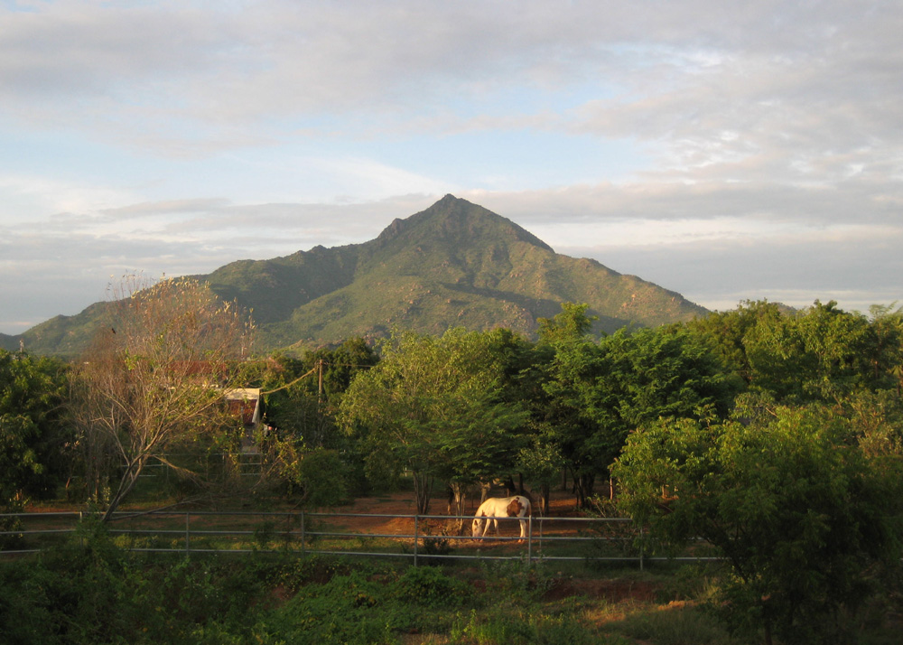 Arunachala 3