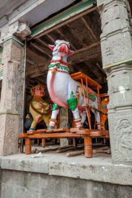 One of the vehicles inside the Vahana Mantapam