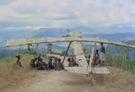 bamboo-plane